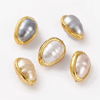 Natural Shell Beads, with Golden Brass Edge, Teardrop, 25~26x18~18.5x15~15.5mm, Hole: 0.8mm