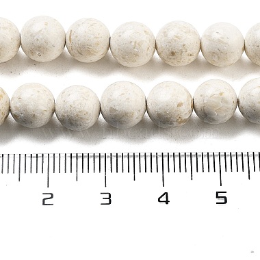 Natural Fossil Beads Strands(G-H026-02A)-5