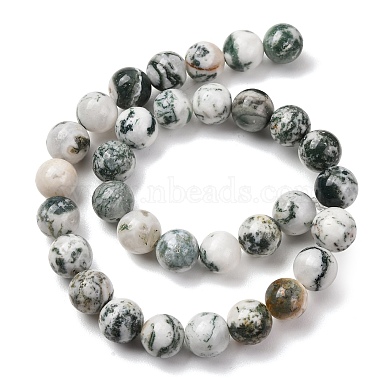 Natural Tree Agate Beads Strands(G-T150-A09-12mm)-4