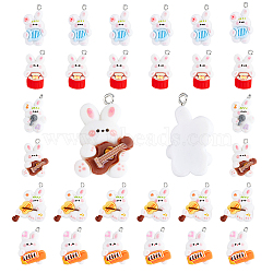 DICOSMETIC 60Pcs 6 Style Music Theme Opaque Resin Pendants, with Platinum Tone Iron Loops, Rabbit Charm, Mixed Color, 27~29x16~22x7~8mm, Hole: 2mm, 10pcs/style(RESI-DC0001-06)