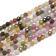 Natural Tourmaline Beads Strands, Faceted, Round, 2~2.5mm, Hole: 0.3mm, about 177pcs/strand, 14.9 inch(G-S300-37-2mm)