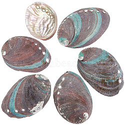 PandaHall Elite Mini Natural Abalone Shell Decorations, Micro Landscape Fish Tank Decoration, Photo Props Accessories, Colorful, 66~118x46~82x14~21mm, 0.5 bag/box(SHEL-PH0001-57)