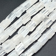 Natural Quartz Crystal Beads Strands, Cuboid, 15~16x10~16mm, Hole: 2mm, about 26pcs/strand, 15.7 inch(40cm)(G-P368-03B)