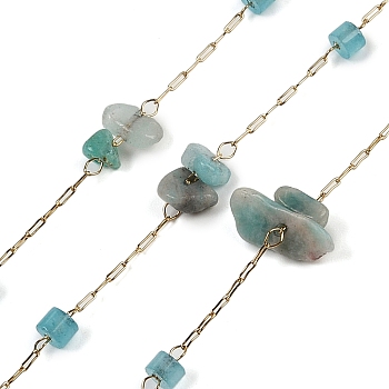 Ion Plating(IP) 316 Surgical Stainless Steel Chains, with Natural Amazonite, with Spool, Soldered, 2.5x0.9x0.2mm