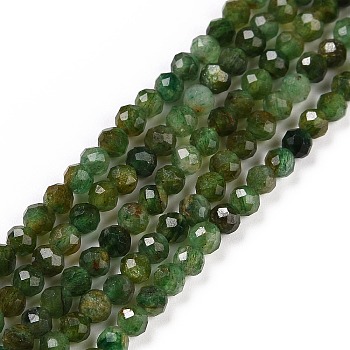 Natural Fuchsite Beads Strands, Faceted, Round, 3mm, Hole: 0.6mm, about 126pcs/strand, 15.16 inch(38.5cm)
