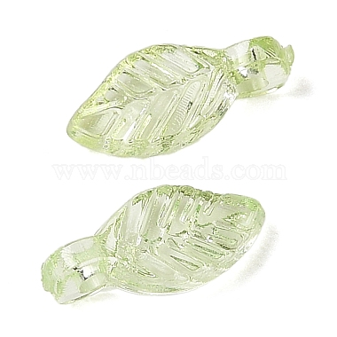 Transparent Acrylic Charms(X-TACR-F009-11B)-2