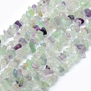 Natural Fluorite Beads Strands, Chip, 5~8mm, Hole: 1mm, about 33 inches(84cm)(G-P406-28)