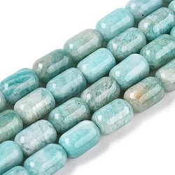 Natural Amazonite Beads Strands, Column, 9~9.5x6~6.5mm, Hole: 0.9~1mm, about 20~21pcs/strand, 7.28~7.6''(18.5~19cm)(G-G980-36B)