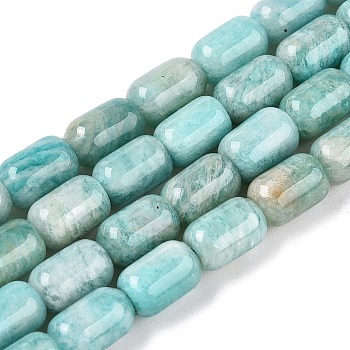 Natural Amazonite Beads Strands, Column, 9~9.5x6~6.5mm, Hole: 0.9~1mm, about 20~21pcs/strand, 7.28~7.6''(18.5~19cm)