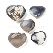 Natural Agate Heart Love Healing Stones, Reiki Energy Balancing Meditation Gift, 20~50x26~53x9~23mm(G-G125-01C)