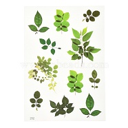 Waterproof Plastic Self Adhesive Stickers, Plant Pattern, Leaf Pattern, 15x10.5x0.01cm(DIY-F064-13A)