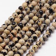 Natural Dalmatian Jasper Beads Strands, Round, 3mm, Hole: 0.5mm, about 125pcs/strand(G-N0183-05-3mm)