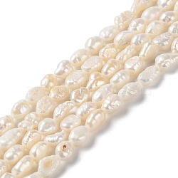 Natural Keshi Pearl Beads Strands, Cultured Freshwater Pearl, Baroque Pearls, Oval, Grade 3A, PapayaWhip, 5.5~6.5x4~4.5x2.5~4mm, Hole: 0.6mm, about 52pcs/strand, 13.58''(34.5cm)(PEAR-E018-66)