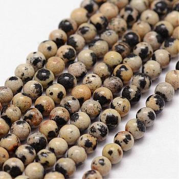 Natural Dalmatian Jasper Beads Strands, Round, 3mm, Hole: 0.5mm, about 125pcs/strand