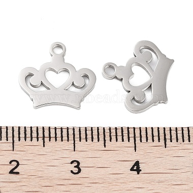 Non-Tarnish 316 Surgical Stainless Steel Charms(STAS-C096-06P)-3