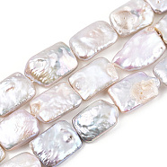 Natural Baroque Pearl Keshi Pearl Beads Strands, Cultured Freshwater Pearl, Rectangle, Creamy White, 13~31x11.5~16x3.5~9.5mm, Hole: 0.8mm, about 18~21pcs/strand, 14.69~15.63(37.3~39.7cm)(PEAR-S020-D07)