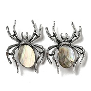 Dual-use Items Alloy Pave Dyed Shell Spider Brooch, with Jet Rhinestone, Antique Silver, Gray, 57.5~58x41.5~42x12.5mm, Hole: 4x3mm(JEWB-C026-04A-AS)