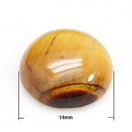 Half Round/ Dome Gemstone Cabochons, Natural Tiger Eye, 14x6mm(diameter will ±0.5mm)(G-H1596-FR-14mm-07)