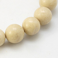 Natural Fossil Beads Strands, Round, Size: about 4mm in diameter, hole: 1mm, about 85~90pcs/strand, 15 inch(X-G-E110-4mm-2)