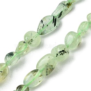 Natural Prehnite Beads Strands, Nuggets Shape, Tumbled Stone, 6x8mm, Hole: 1mm, about 59pcs/strand, 15.55''(39.5cm)(G-Z034-D09-01)
