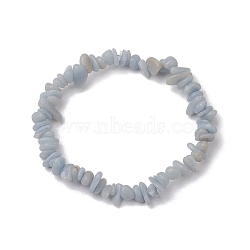 Natural Angelite Chip Beaded Stretch Bracelets, Inner Diameter: 2~2-1/8 inch(5.2~5.5cm)(BJEW-JB10868-02)