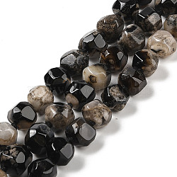 Natural Black Cherry Blossom Agate Beads Strands, Dyed & Heated, Faceted, Irregular Polygon, Black, 14x14x12.5mm, Hole: 1.6mm, about 26pcs/strand, 16.34''(41.5cm)(G-NH0010-J02-01A)