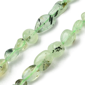 Natural Prehnite Beads Strands, Nuggets Shape, Tumbled Stone, 6x8mm, Hole: 1mm, about 59pcs/strand, 15.55''(39.5cm)