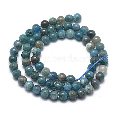 Natural Apatite Beads Strands(G-I254-08G)-2