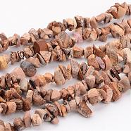 Natural Picture Jasper Chips Beads Strands, 5~8mm, hole: about 0.3mm, 31~33 inch Long(F002)