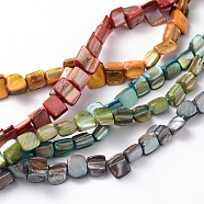 Shell Beads Strands, Dyed, Square, Mixed Color, about 8mm long, 8mm wide, 5mm thick, hole: 1mm, about 50pcs/strand, 16 inch(PBB001-M)