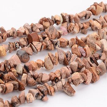 Natural Picture Jasper Chips Beads Strands, 5~8mm, hole: about 0.3mm, 31~33 inch Long