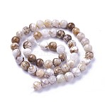 Natural America Petrified Wood Beads Strands, Round, 8mm, Hole: 1.2mm, about 46~47pcs/strand, 14.8 inch~15.51  inch(37.7~39.4cm)(G-P430-08-C)