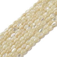 Natural Trochus Shell Beads Strands, Oval, Pale Goldenrod, 4~4.5x2.8mm, Hole: 0.5mm, about 89~90pcs/strand, 15.55~15.94''(39.5~40.5cm)(SSHEL-H072-02B)