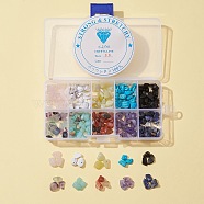 Jewelry Finding Making Kits, Including 80G 10 Styles Natural & Synthetic Gemstone Chip Beads and Clear Elastic Crystal Thread, Beads: 5~8x5~8mm, Hole: 1mm, about 8g/style(G-FS0002-42)