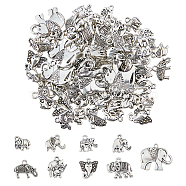 72Pcs 12 Styles Tibetan Style Zinc Alloy Pendants, Antique Silver, 11~21x8.5~25x1.5~5mm, Hole: 1.6~2.5mm, 6pcs/style(TIBEP-DC0001-29)