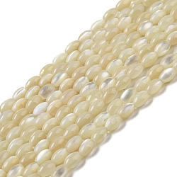 Natural Trochus Shell Beads Strands, Oval, Pale Goldenrod, 4~4.5x2.8mm, Hole: 0.5mm, about 89~90pcs/strand, 15.55~15.94''(39.5~40.5cm)(SSHEL-H072-02B)
