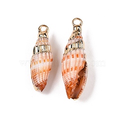 Natural Sea Shell Pendants, Shell Shaped Charms with Golden Tone Iron Loops, Dark Orange, 19~33x6~10x6~9.5mm, Hole: 1.8~2.5mm(SSHEL-N038-35)