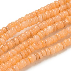 Dyed Natural Freshwater Shell Beads Strands, Rondelle, Sandy Brown, 1~4.5x4~4.5x2~4.5mm, Hole: 0.5mm, about 159pcs/strand, 15.12''(38.4cm)(BSHE-G039-07A)