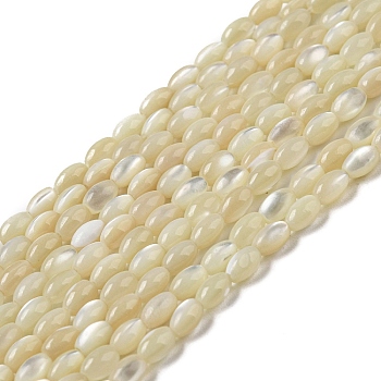 Natural Trochus Shell Beads Strands, Oval, Pale Goldenrod, 4~4.5x2.8mm, Hole: 0.5mm, about 89~90pcs/strand, 15.55~15.94''(39.5~40.5cm)
