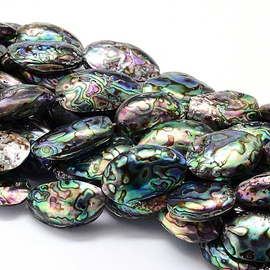 29mm Colorful Oval Paua Shell Beads