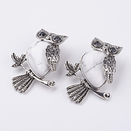 Natural Howlite Pendants, with Alloy Finding, Owl, Antique Silver, 46.5x35.5x11.5mm, Hole: 6x8.5mm(G-E442-01S)