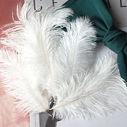 Ostrich Feather Ornament Accessories, for DIY Photo Props, Backdrop Craft, White, 150~200mm(FEAT-PW0001-005A)