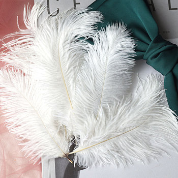 Ostrich Feather Ornament Accessories, for DIY Photo Props, Backdrop Craft, White, 150~200mm