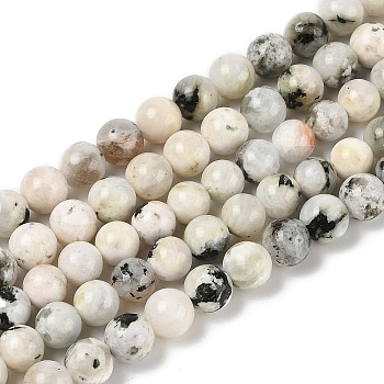 Natural Rainbow Moonstone Beads Strands, Round, 8.5mm, Hole: 0.8mm, about 47pcs/strand, 15.55~15.59''(39.5~39.6cm)