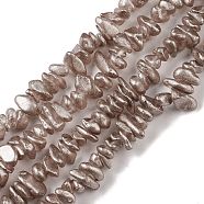 Electroplate Glass Beads Strands, Chip, Tan, 2.5~6.5x3~10x4~12.5mm, Hole: 1mm, 33.86''(86cm)(GLAA-P062-B13)