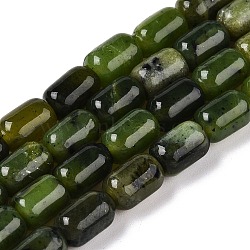 Natural Canadian Jade Beads Strands, Column, 9~9.5x6~6.5mm, Hole: 0.9~1mm, about 20~21pcs/strand, 7.28~7.6''(18.5~19cm)(G-G980-49B)