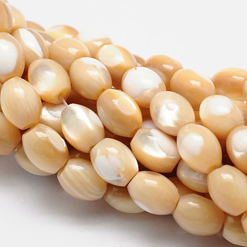 Natural Sea Shell Barrel Bead Strands, 11x9mm, Hole: 1mm, about 36pcs/strand, 15.3 inch
