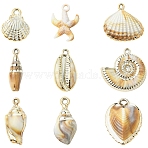 18Pcs 9 Styles Plating Acrylic Imitation Shell Pendants, Shell Shapes/Stafish Charms, Sandy Brown, 23~38.5x9.5~34.5x5~15mm, Hole: 1.7~4mm, 2pcs/style(PACR-YW0001-42)