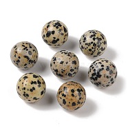 Natural Dalmatian Jasper No Hole Sphere Beads, Round, 16mm(G-K353-04D-16)