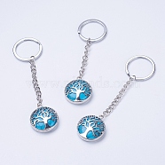Synthetic Turquoise Keychain, with Iron Key Rings, Iron Chain and Brass Finding, Flat Round with Tree of Life, Dyed, 100~120mm, Pendant: 31x27x7mm(KEYC-E023-02H)